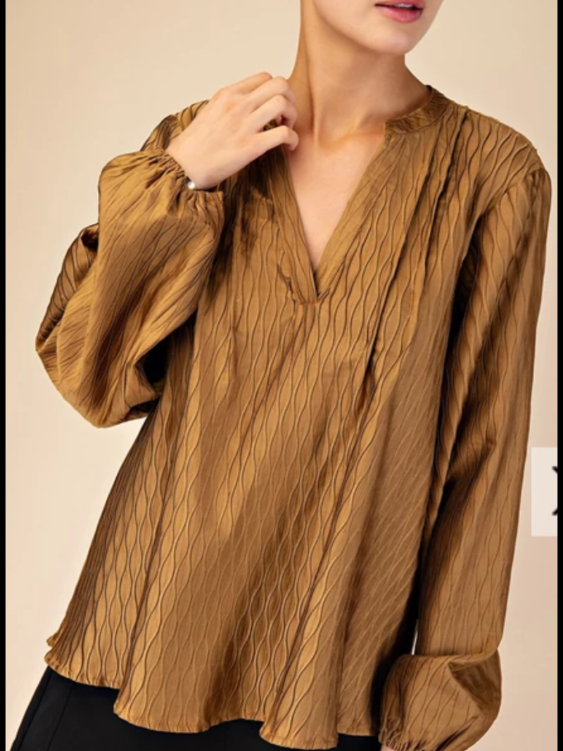 V-Neck Texture Blouse